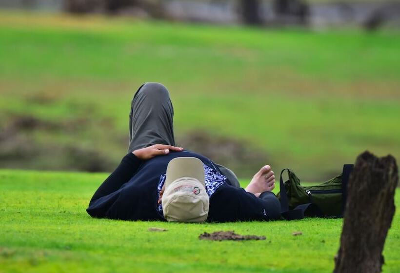 Hotel Explorer By Eco Team  Gal Oya National Park