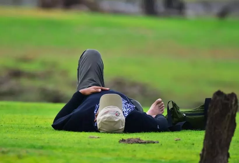 Hotelli Explorer By Eco Team  Gal Oya National Park