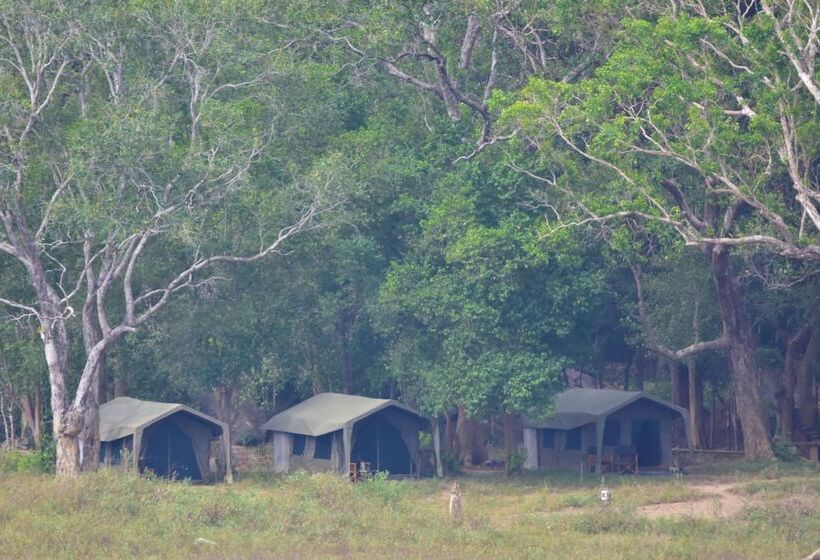 Hotel Explorer By Eco Team  Gal Oya National Park