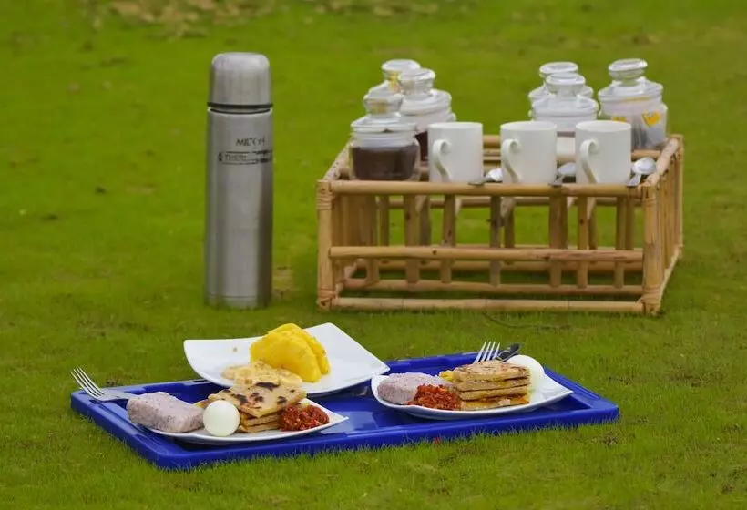 Hotelli Explorer By Eco Team  Gal Oya National Park