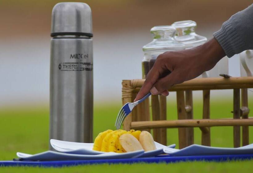 Hotel Explorer By Eco Team  Gal Oya National Park