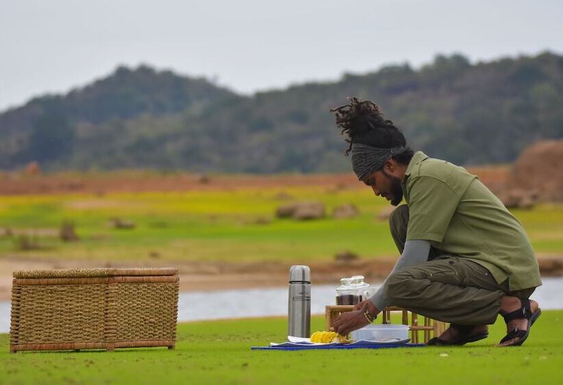 Hotel Explorer By Eco Team  Gal Oya National Park