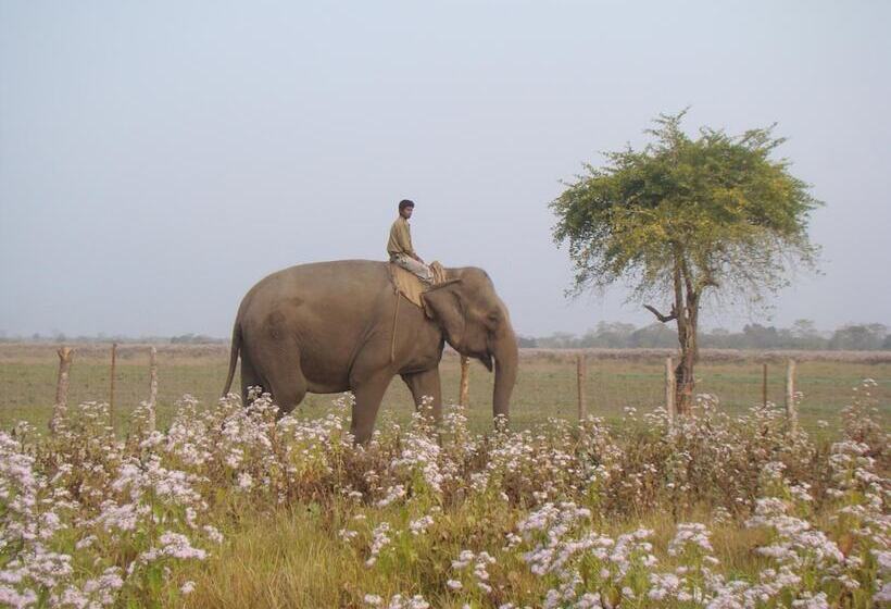 Hotel Musa Jungle Retreat
