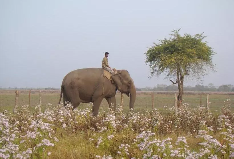 Hotelli Musa Jungle Retreat