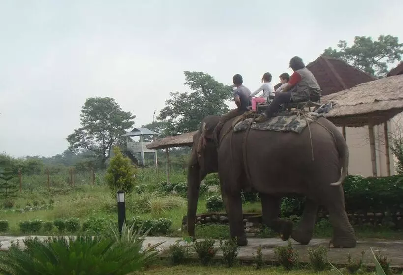 Hotelli Musa Jungle Retreat
