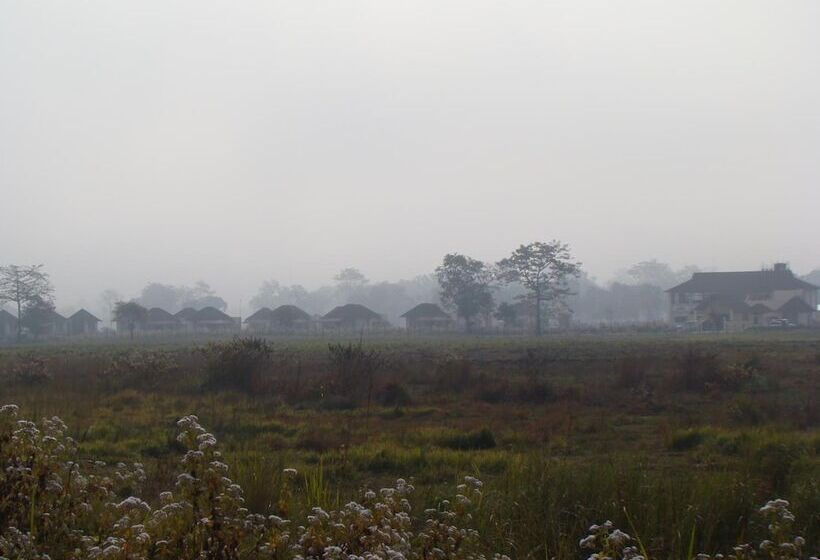Hotel Musa Jungle Retreat