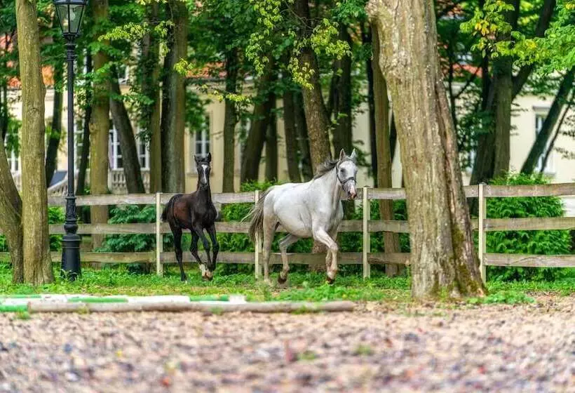 ホテル Pałac Alexandrinum