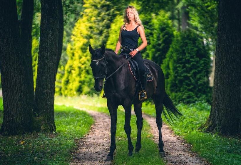 호텔 Pałac Alexandrinum