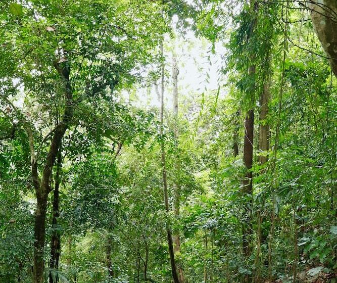 Hotel Paradise Eco Garden