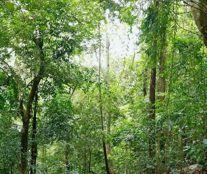 Hotelli Paradise Eco Garden