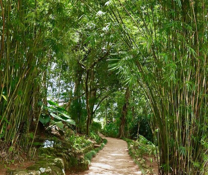 Hotel Paradise Eco Garden