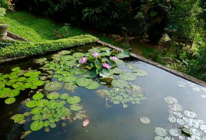 Hotel Paradise Eco Garden