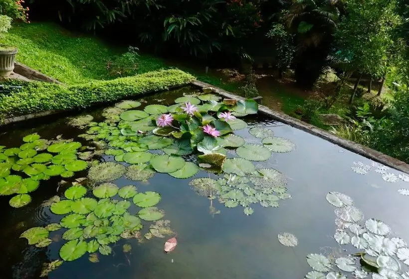 Hotelli Paradise Eco Garden