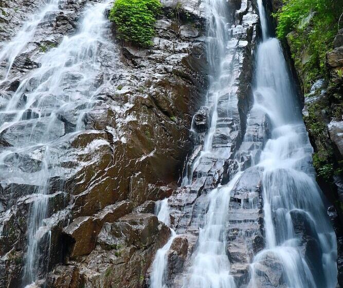 Hotel Paradise Eco Garden