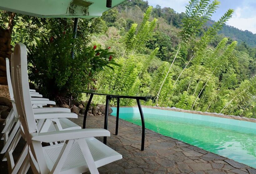 Hotel Paradise Eco Garden