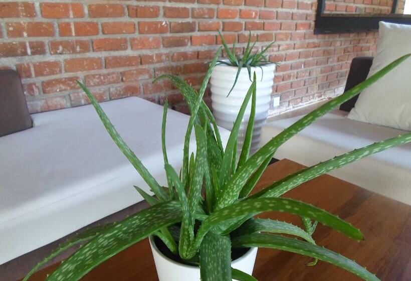 Hotel Sennya Resorts