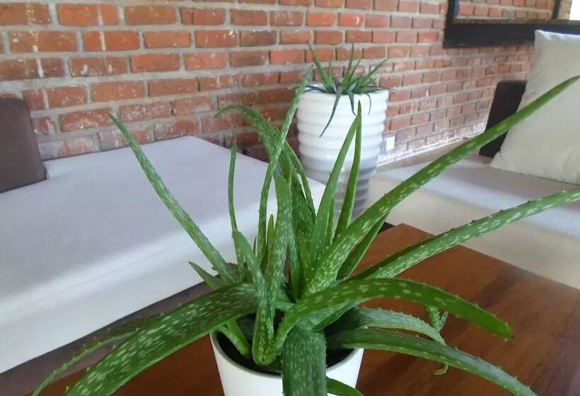 Hotelli Sennya Resorts