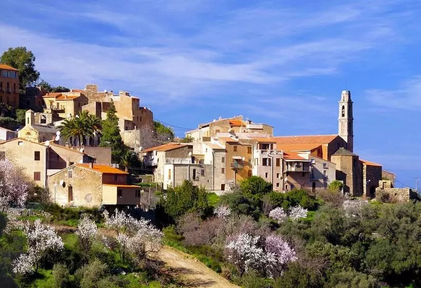 ペンション Auberge De Tesa