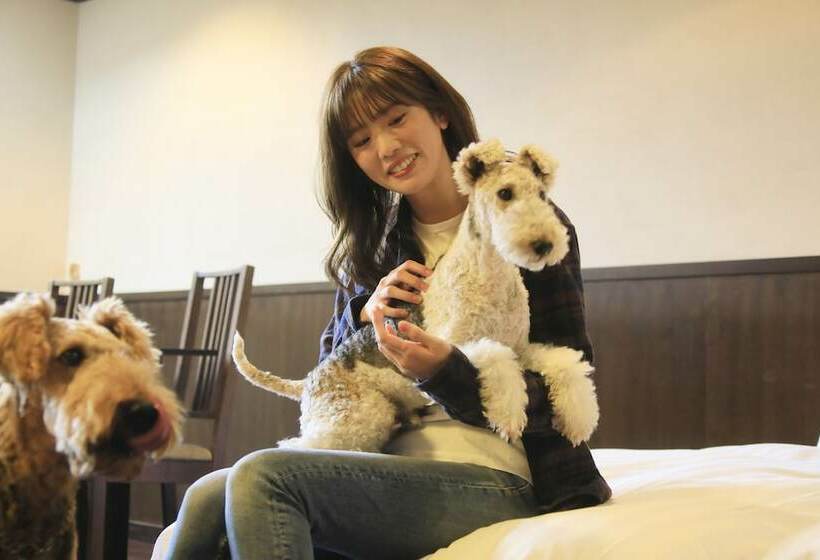 Pensión Welcome Inn Sunny Steps