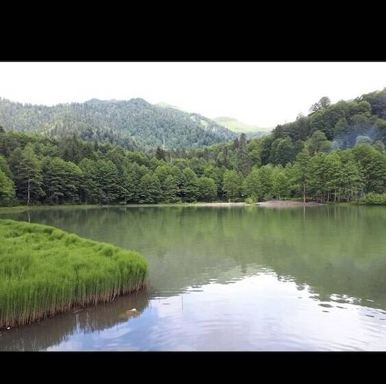 Hotel Adas Dag Evi & Restoran