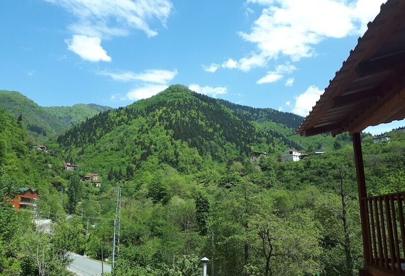 Hotel Adas Dag Evi & Restoran