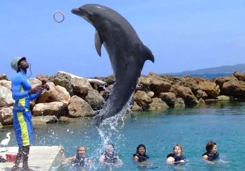 هتل Ocho Rios Villa At Coolshade V