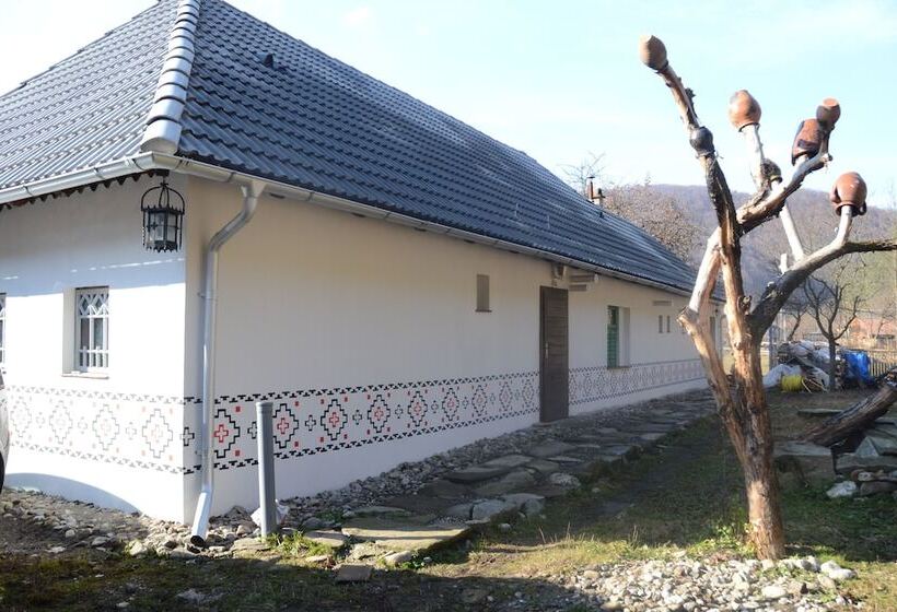 بنسيون Gospodaria Lui Nea Ion