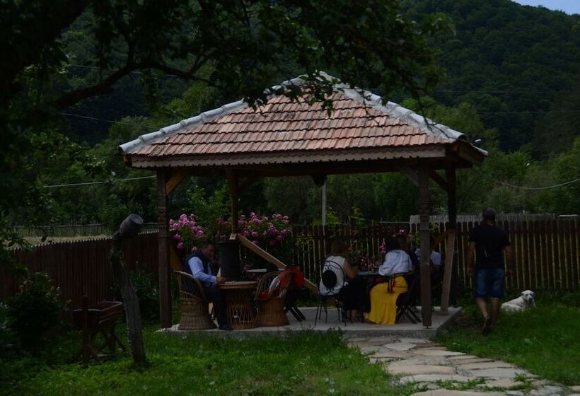 بنسيون Gospodaria Lui Nea Ion