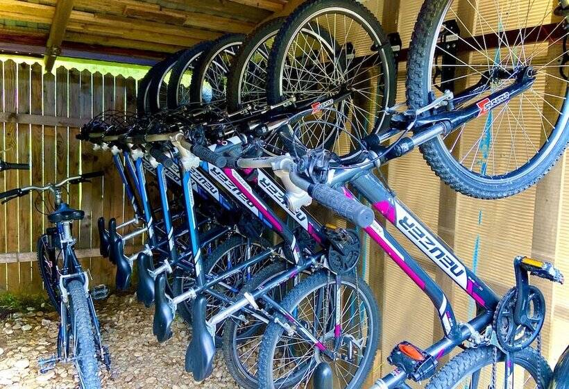 بنسيون Gospodaria Lui Nea Ion