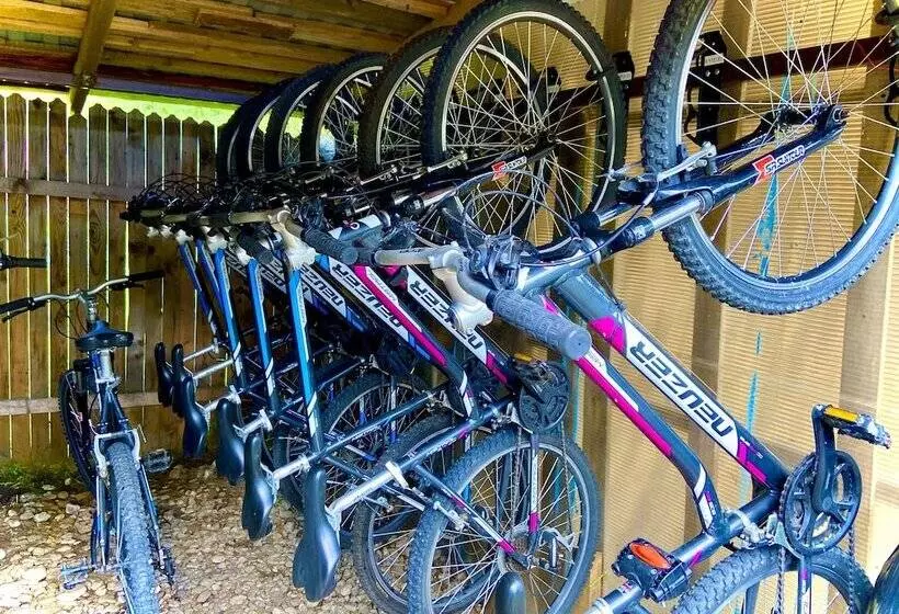 Majatalo Gospodaria Lui Nea Ion