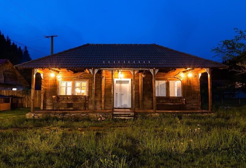 بنسيون Gospodaria Lui Nea Ion