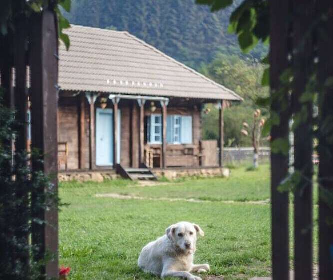 بنسيون Gospodaria Lui Nea Ion