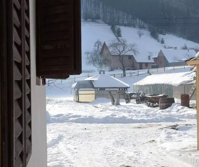 Majatalo Gospodaria Lui Nea Ion