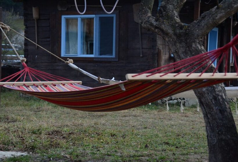 بنسيون Gospodaria Lui Nea Ion