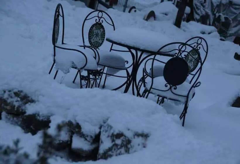 Majatalo Gospodaria Lui Nea Ion