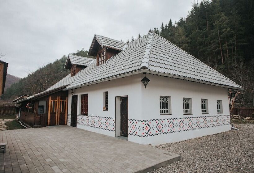 بنسيون Gospodaria Lui Nea Ion