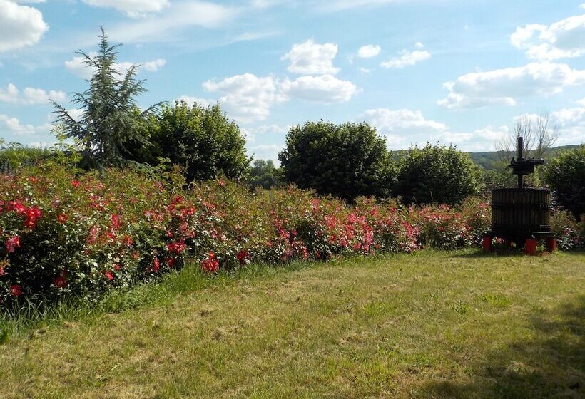 بنسيون La Colline Aux Fustes