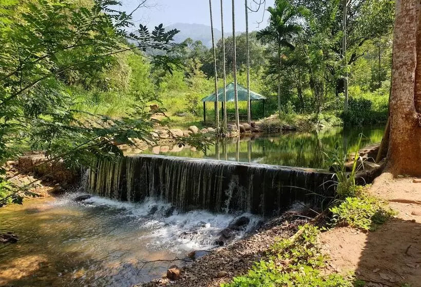 ペンション Nature Hub Koslanda