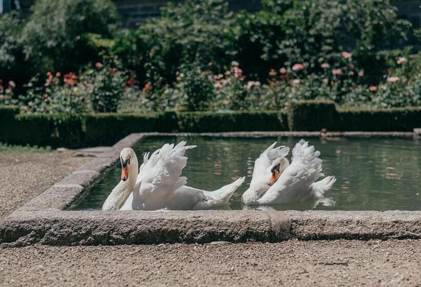 هتل Casa Dos Pombais