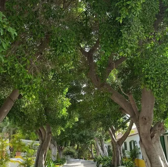 فندق Cortijo San Ignacio