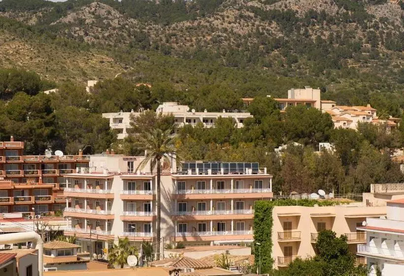 فندق Venecia Paguera