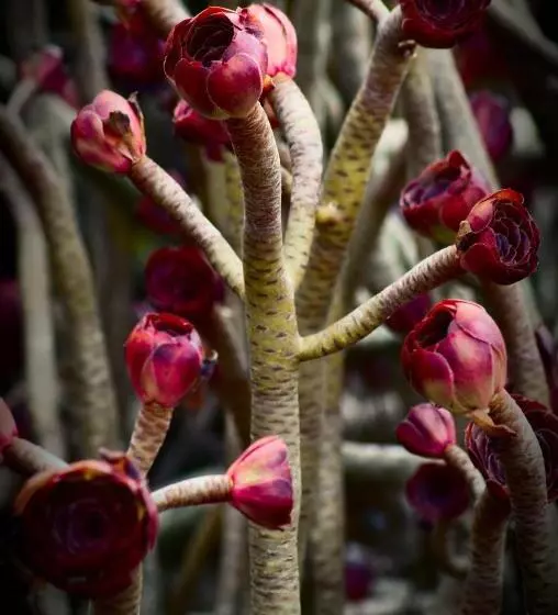 All Suite Ibiza Apart