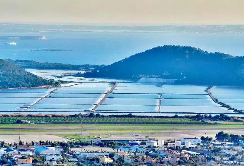 All Suite Ibiza Apart