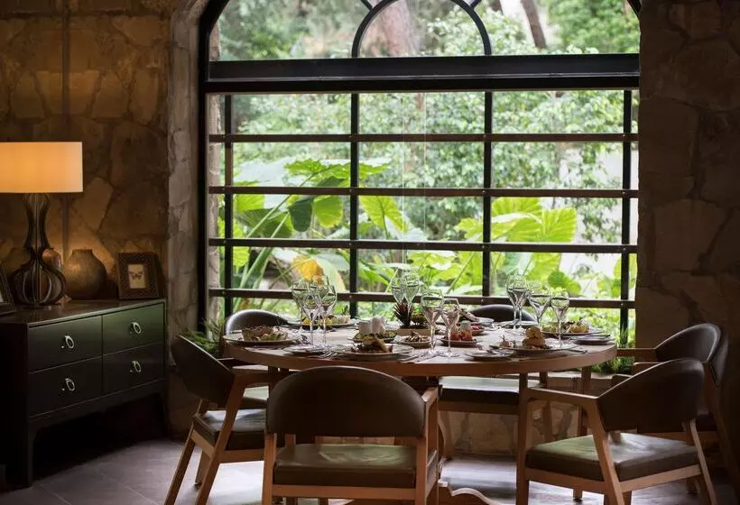 酒店 Barut Hemera - Ultra All Inclusive