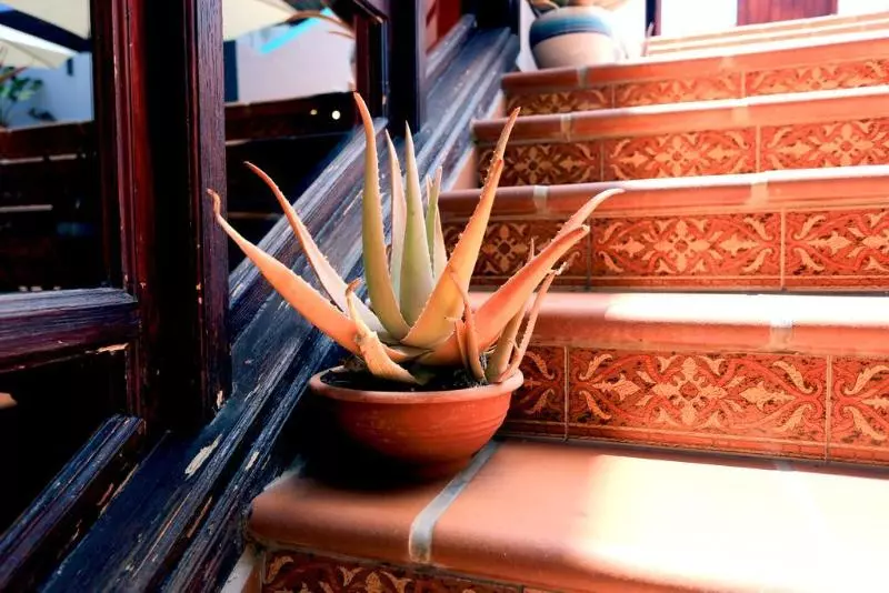 Отель La Casita Di Fuerte