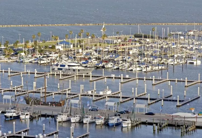 Отель Omni Corpus Christi