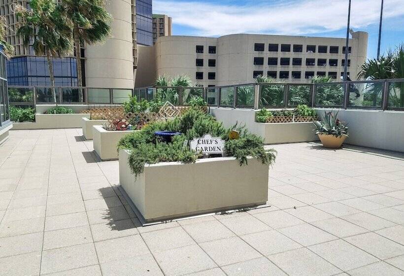 هتل Omni Corpus Christi