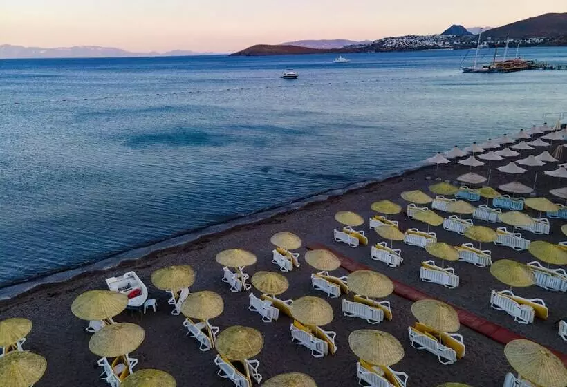 酒店 Petunya Beach Resort