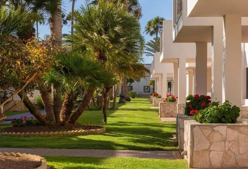 リゾートホテル Alua Suites Fuerteventura - All Inclusive