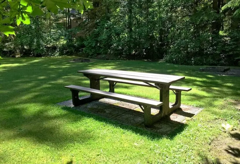 57sw   Fireplace   Wifi   Sleeps 6